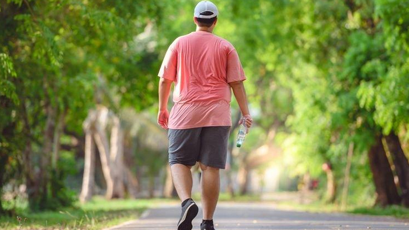 Jalan Kaki: Rahasia Sehat dan Langsing yang Mudah dan Murah